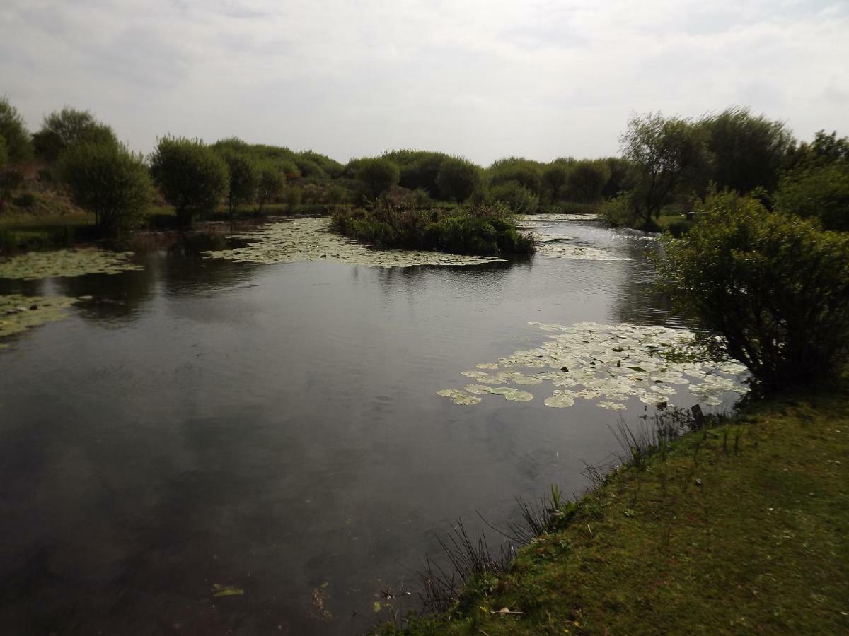 Вилла Marsh Water Ponds Fishery Kidwelly Экстерьер фото