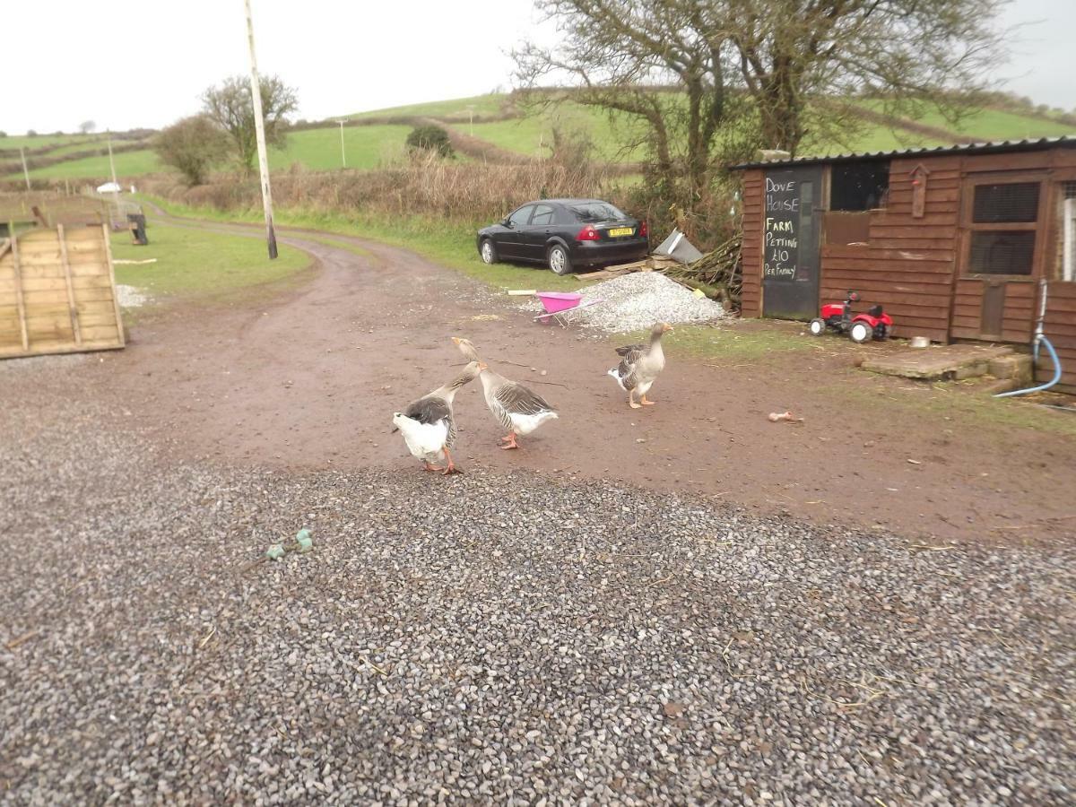 Вилла Marsh Water Ponds Fishery Kidwelly Экстерьер фото