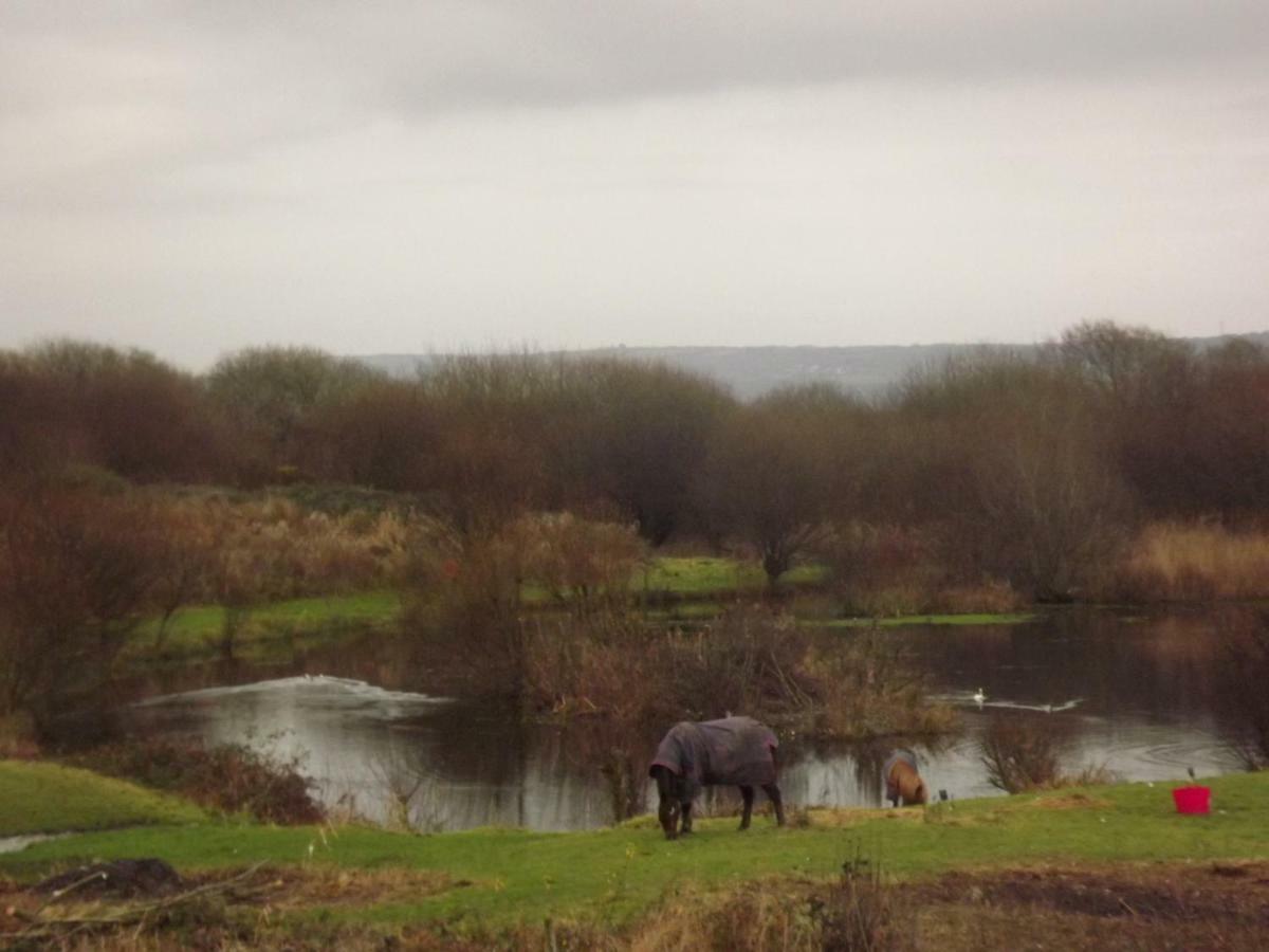 Вилла Marsh Water Ponds Fishery Kidwelly Экстерьер фото